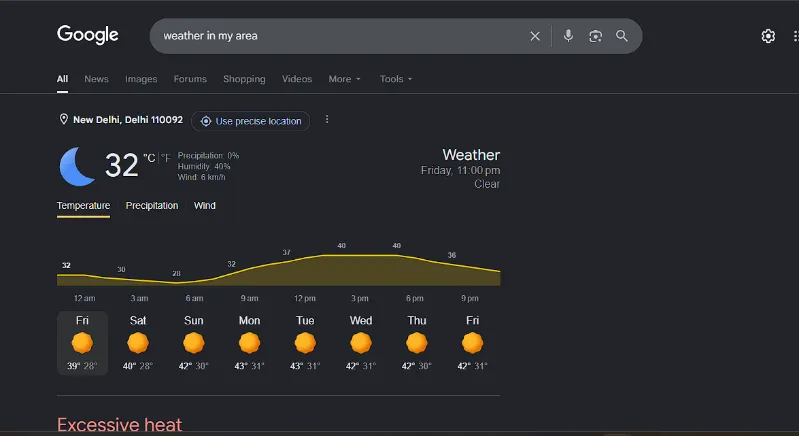 India Weather Query Screenshot