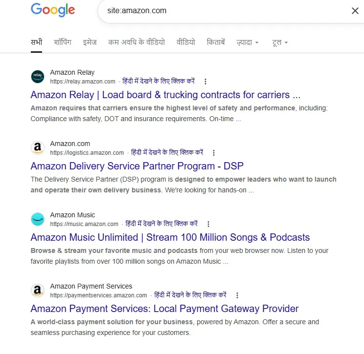 site search operator